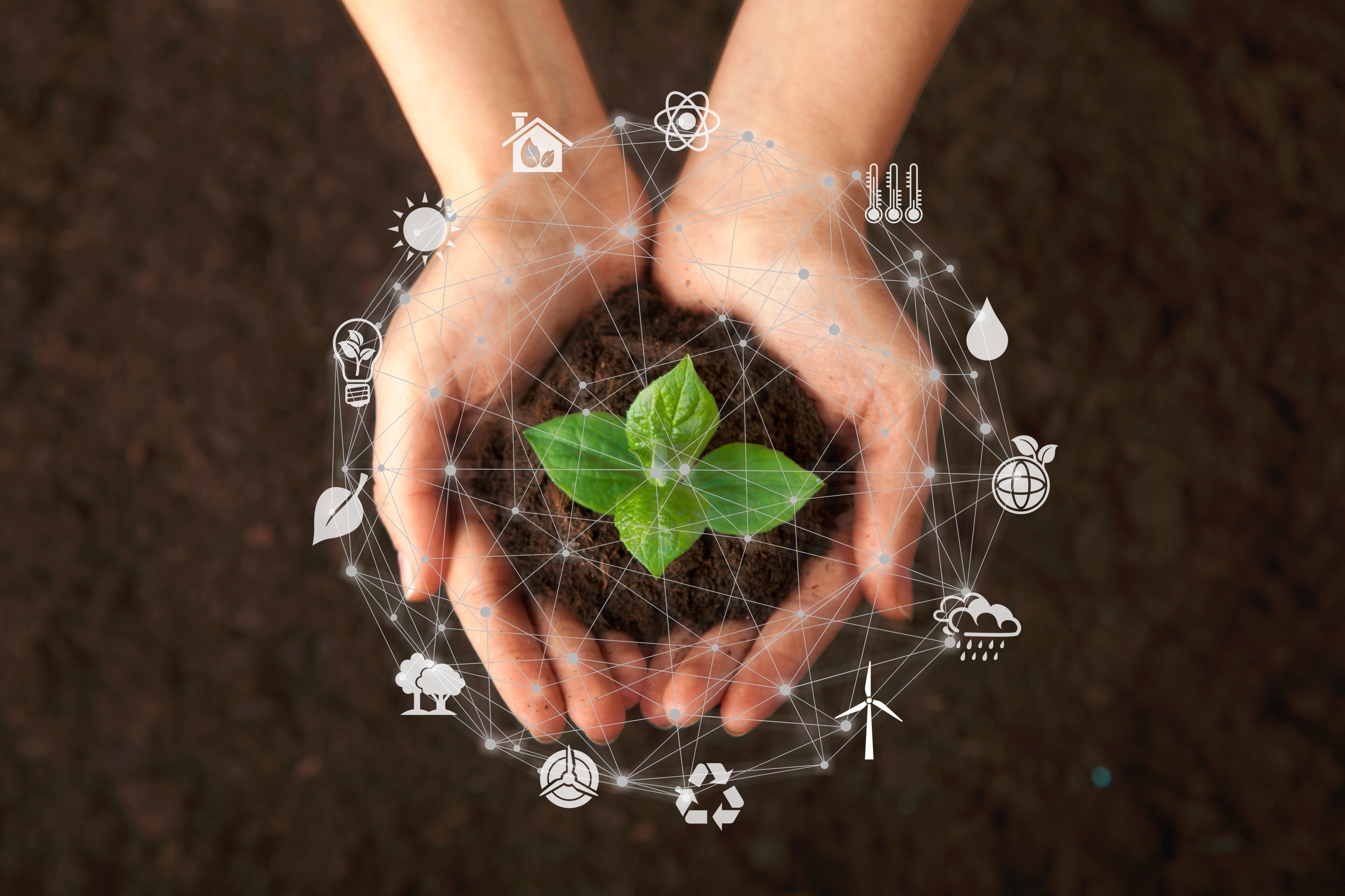 Environmental Responsibility
